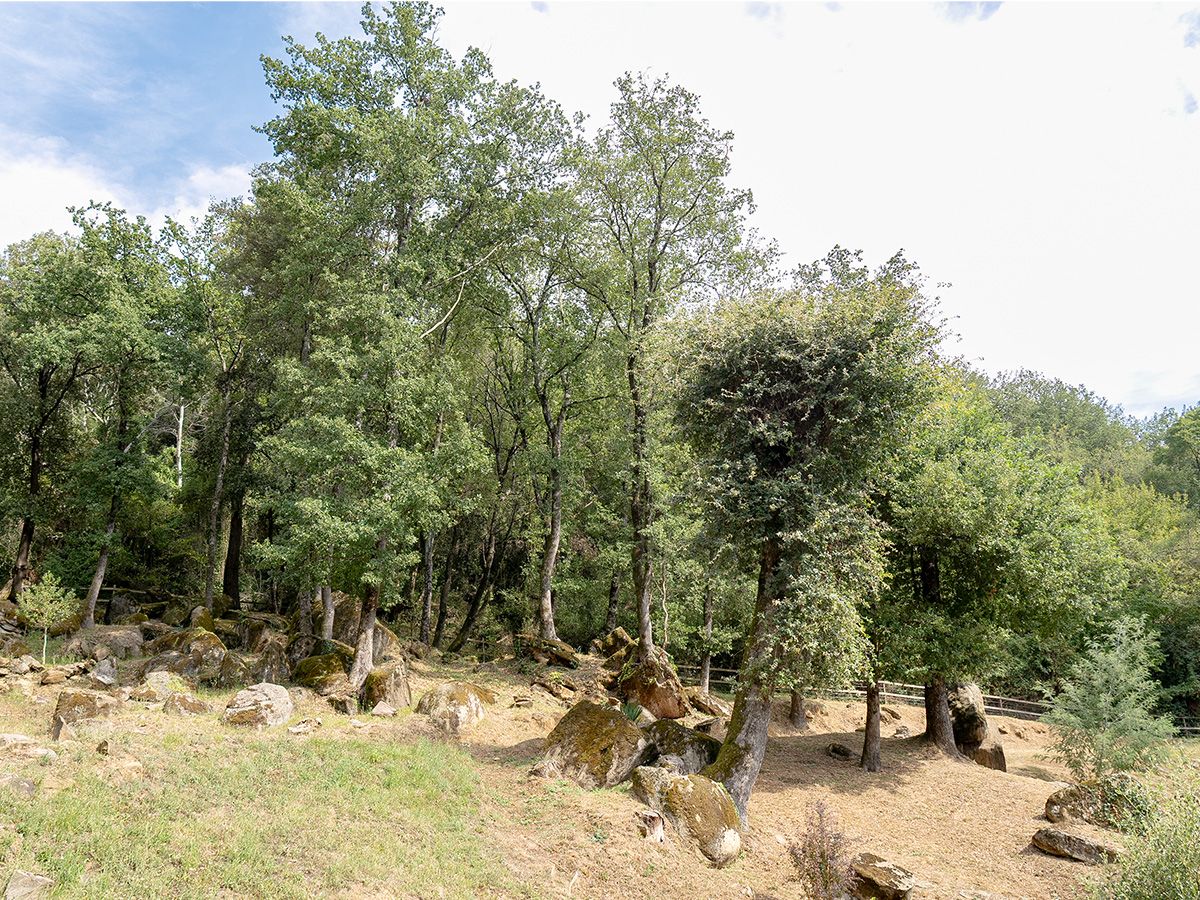 Eigentum mit viel Privatsphäre in La Garrotxa mit 2 Hektar Land