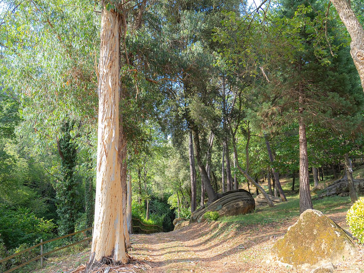 Property with a lot of privacy in La Garrotxa with 2 hectares of land