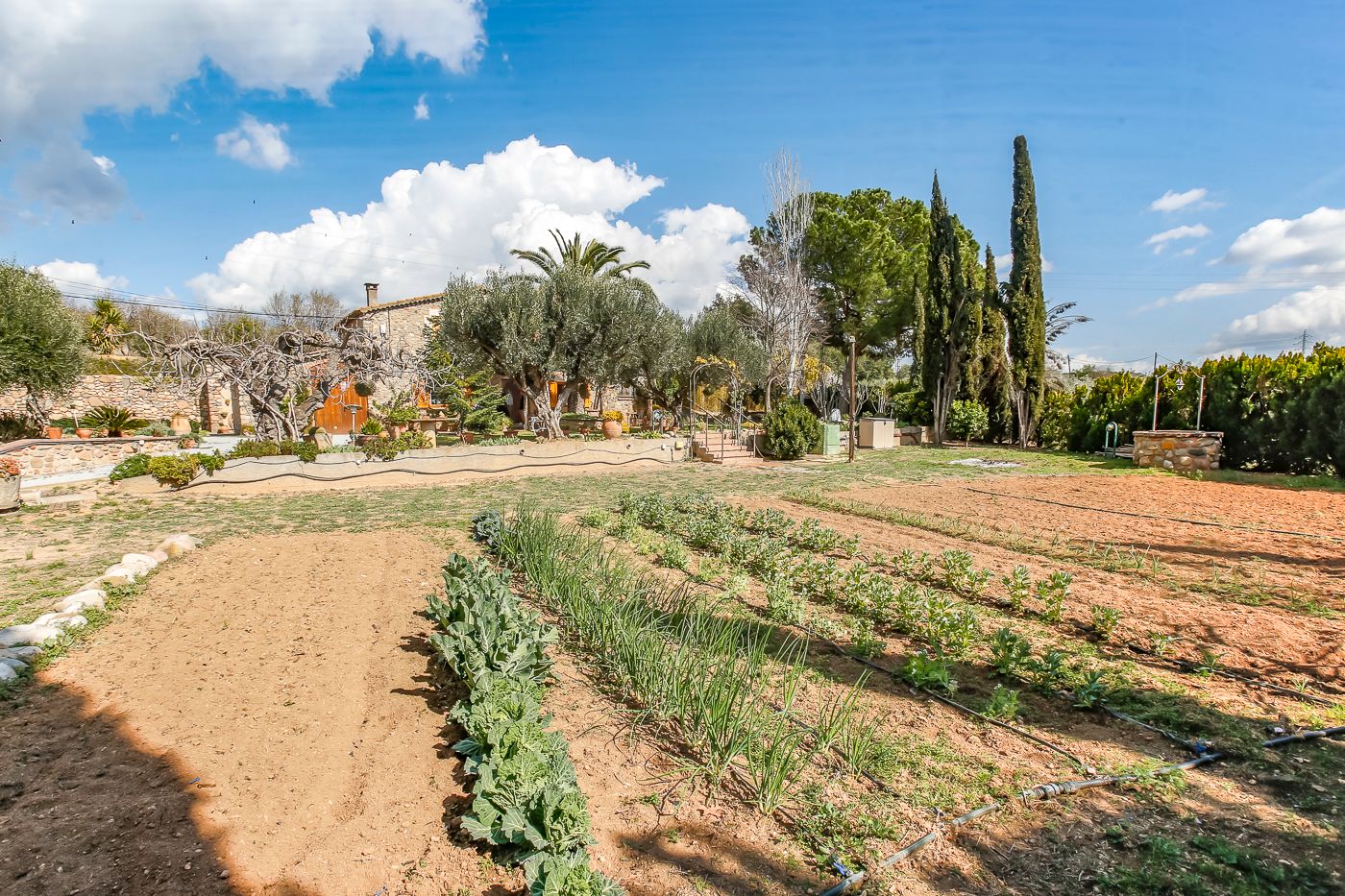 Schönes Bauernhaus zum Verkauf in Santa Eulalia de Ronsana