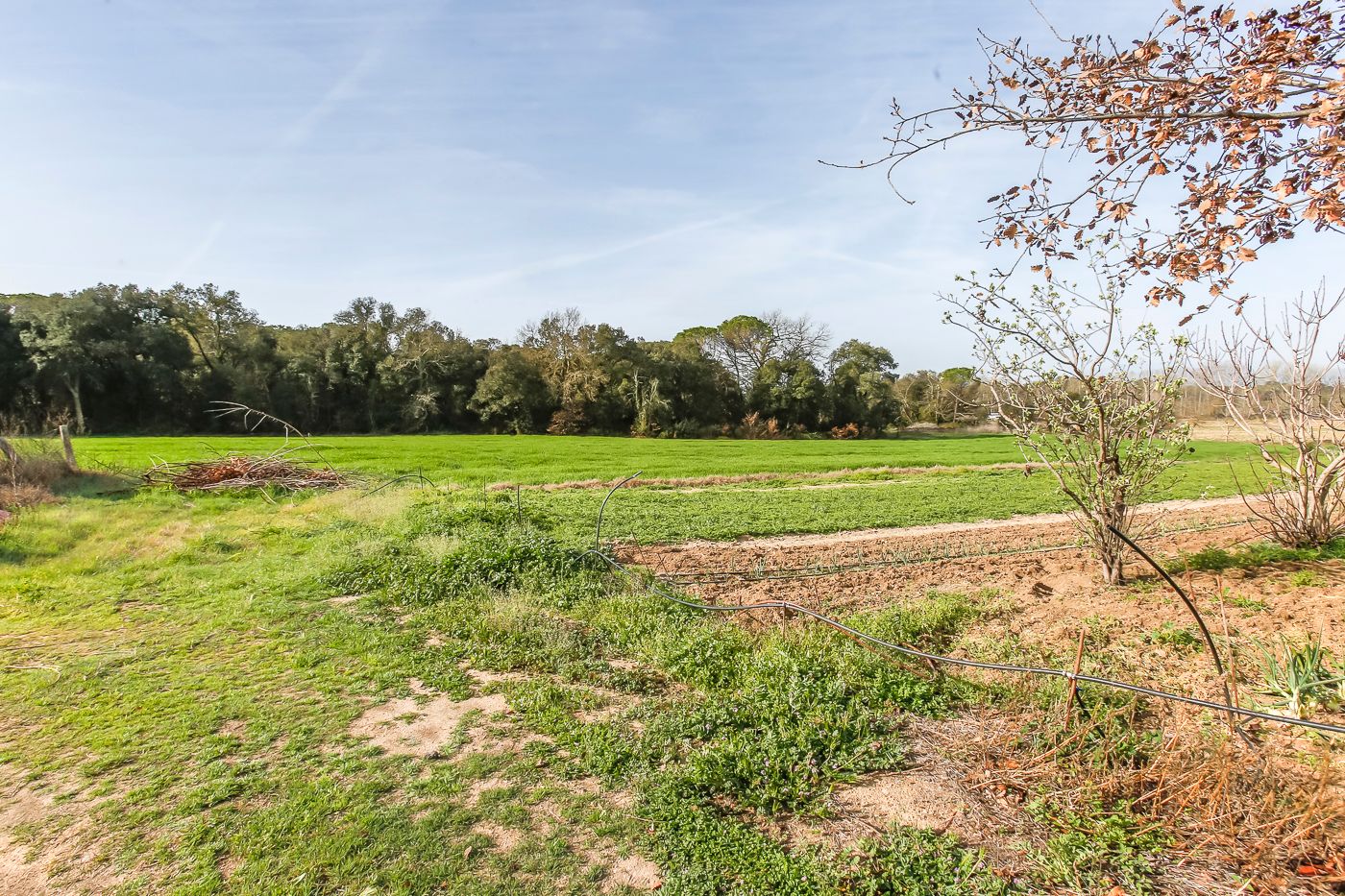 Masia amb 40 hectàrees en venda a Caldes de Malavella