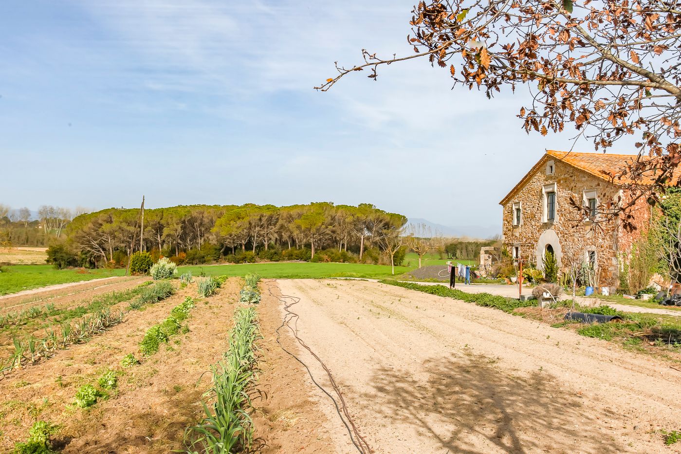Bauernhaus mit 40 Hektar zum Verkauf in Caldes de Malavella