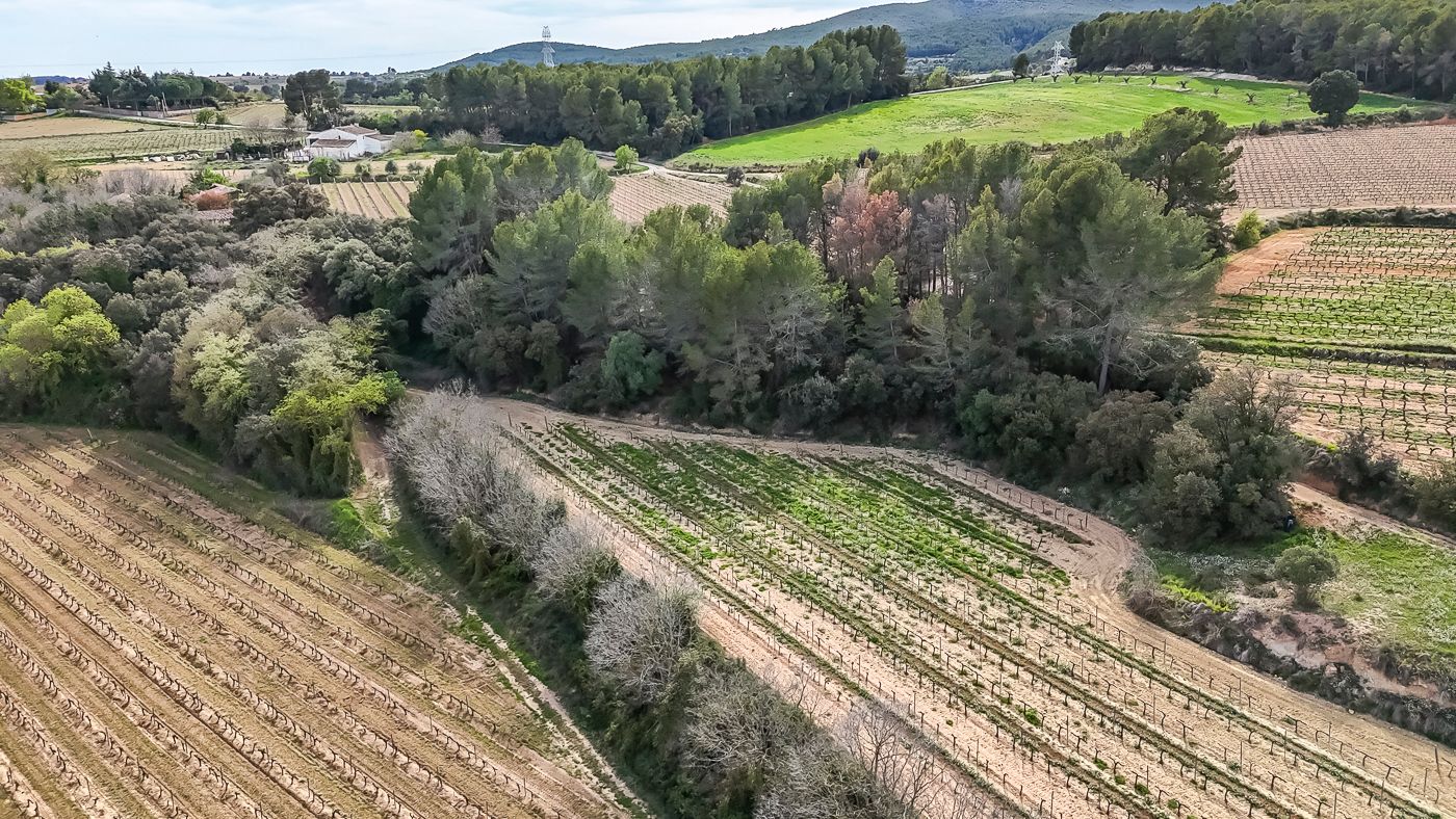 Masia a reformar amb vinya a Sant Martí Sarroca
