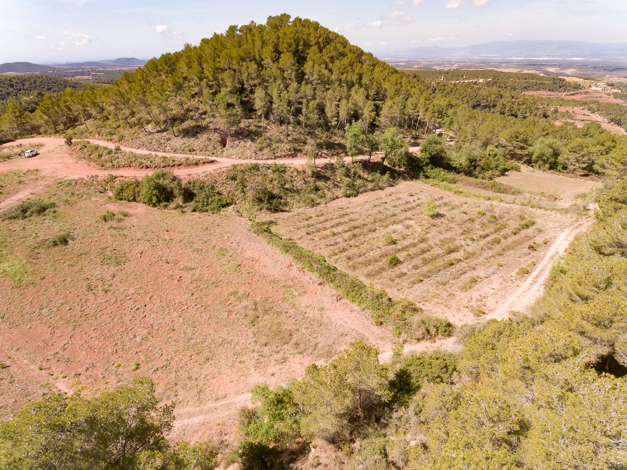 Finca mit 2 Bauernhäusern zum Verkauf in Aiguamurcia