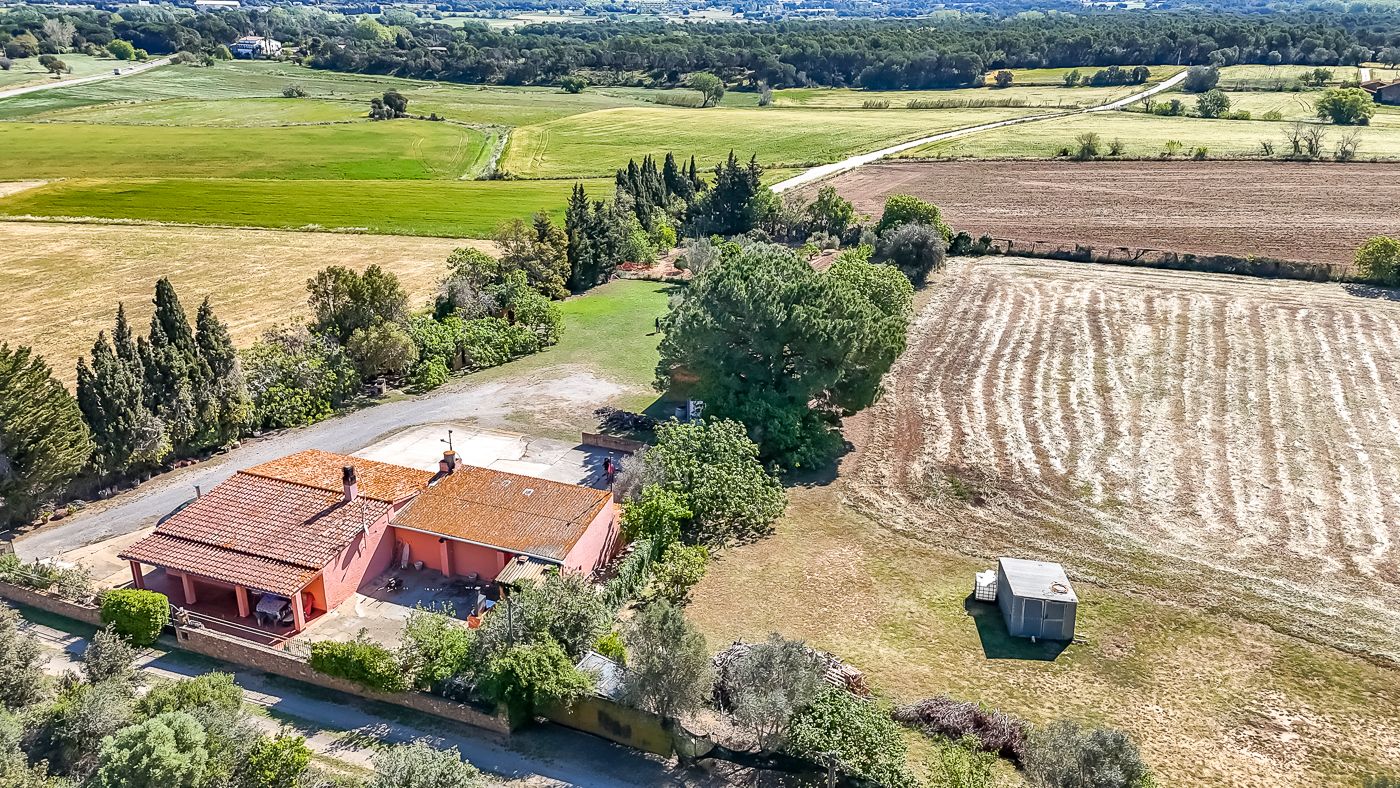 Country house with almost 2 hectares for sale in Torrent