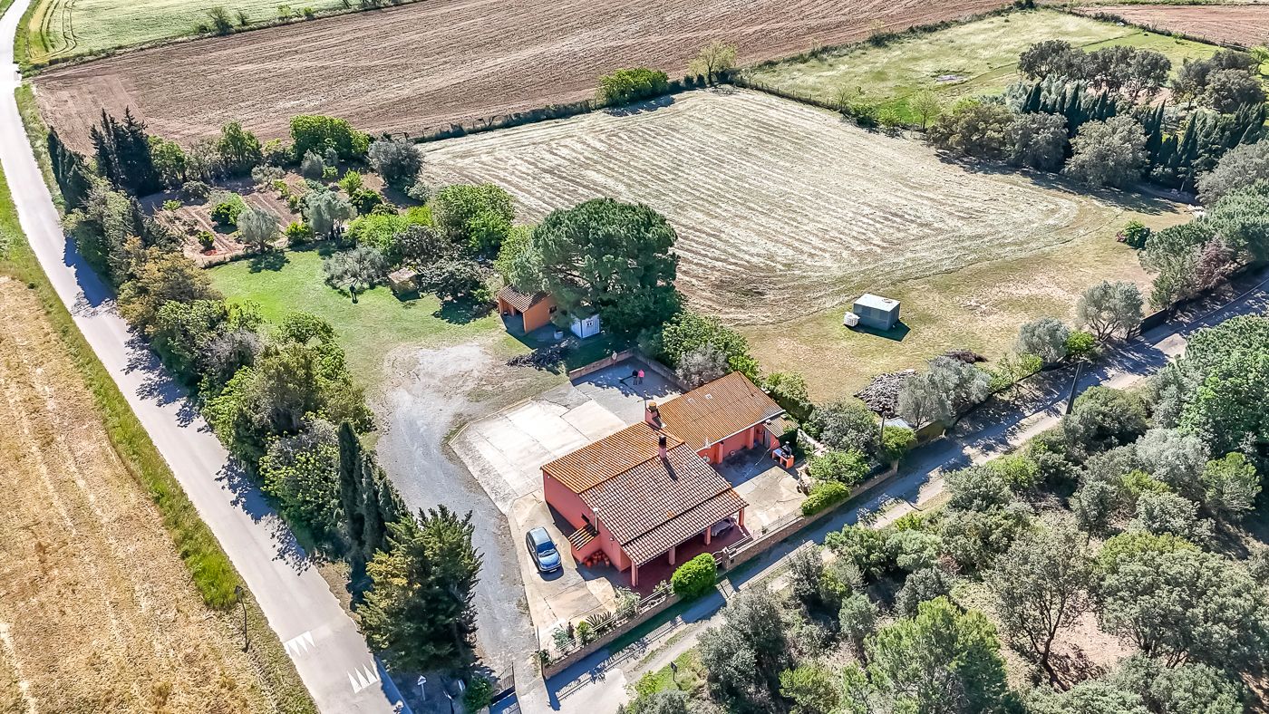 Masia amb gairebé 2 hectàrees en venda a Torrent