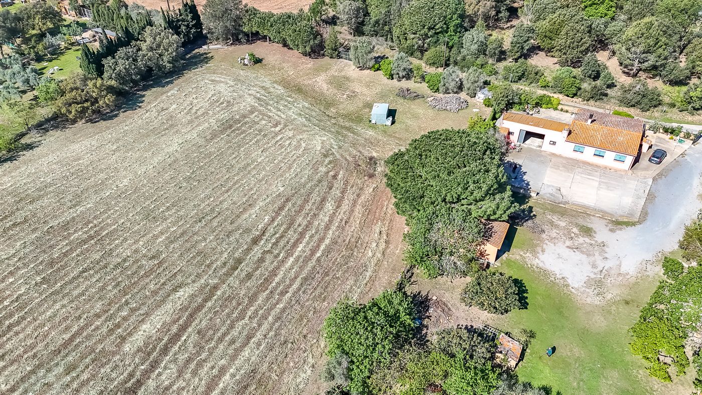 Masia amb gairebé 2 hectàrees en venda a Torrent