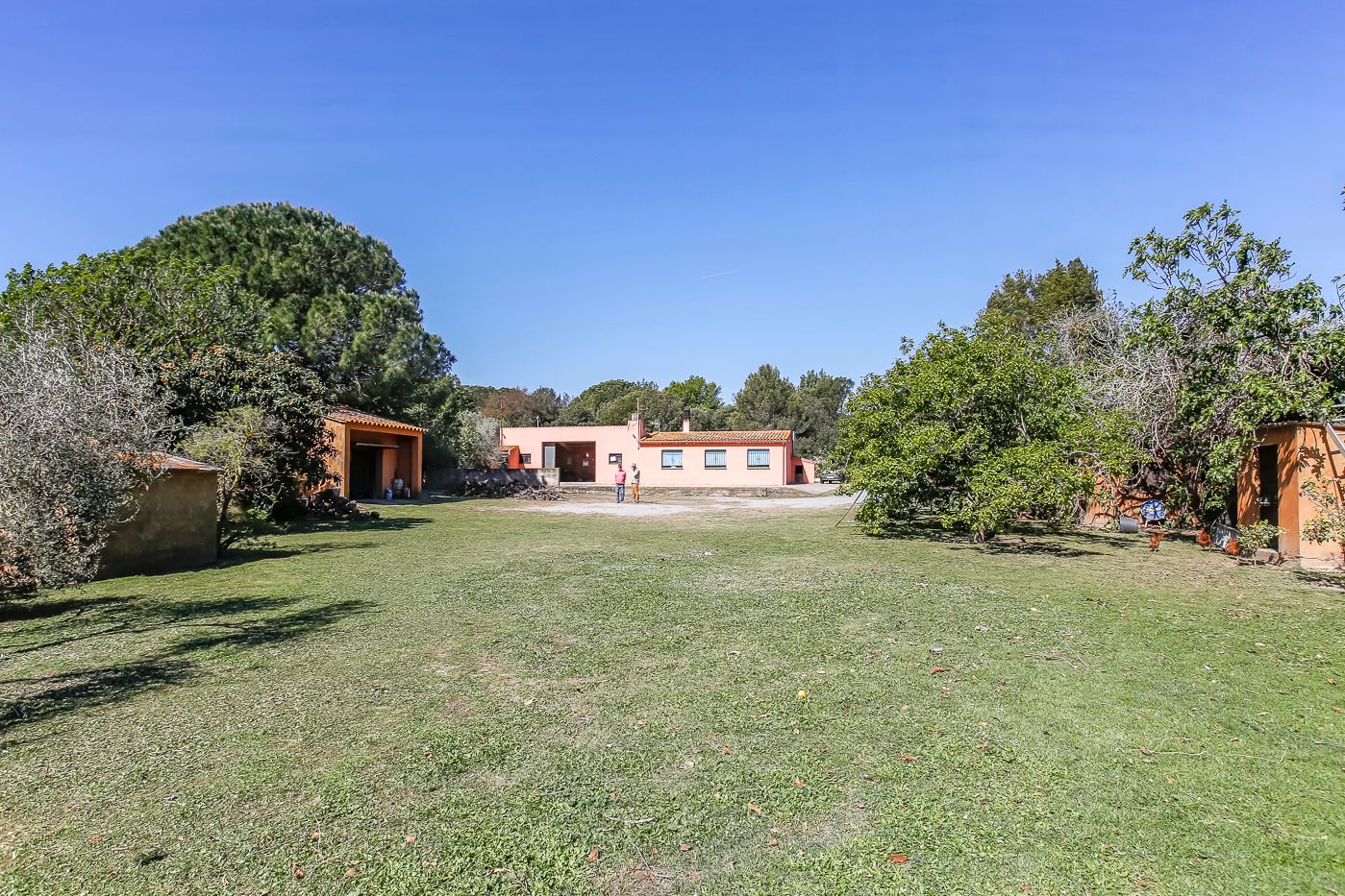 Country house with almost 2 hectares for sale in Torrent