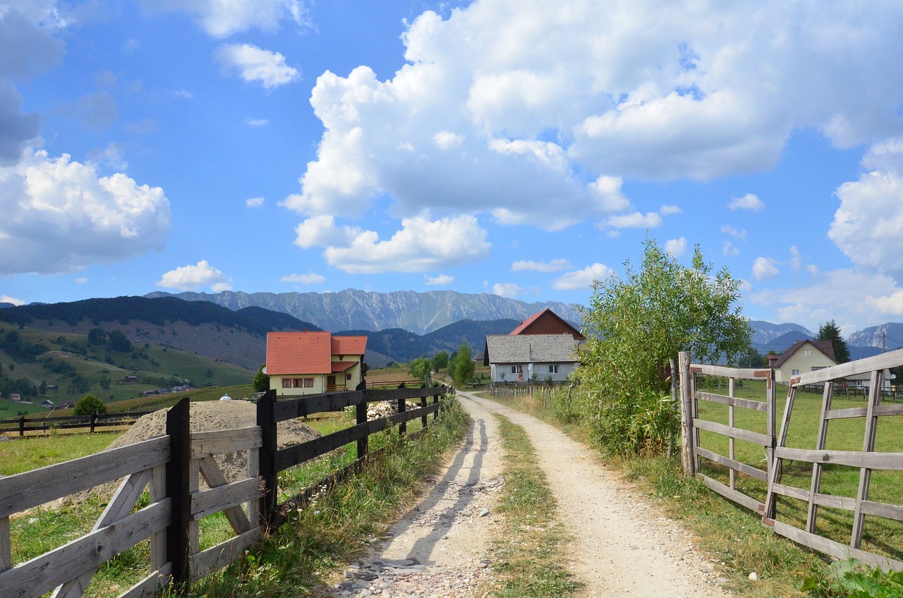 Terre Rustique