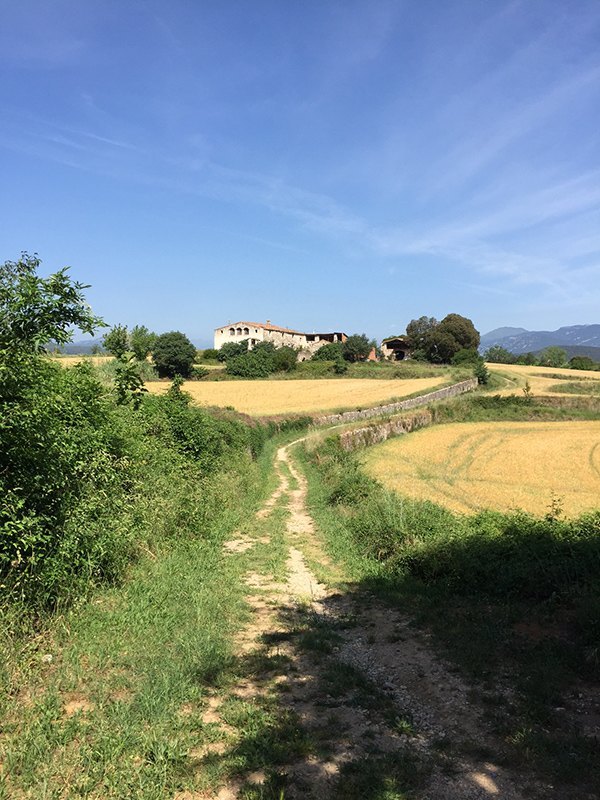 Country house for sale in Argelaguer with 27 hectares of fields and forest